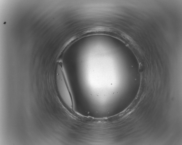 X0000067471321200604101149