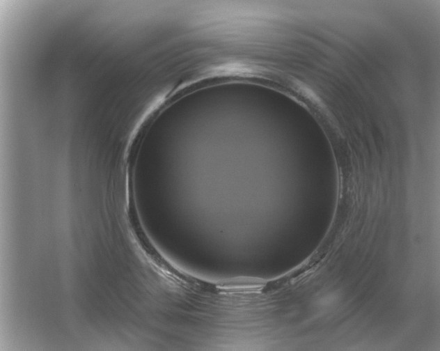 X0000067471323200604101149