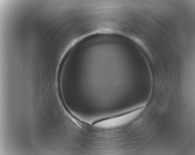 X0000067471327200604101149