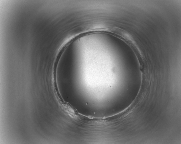 X0000067471328200604101149