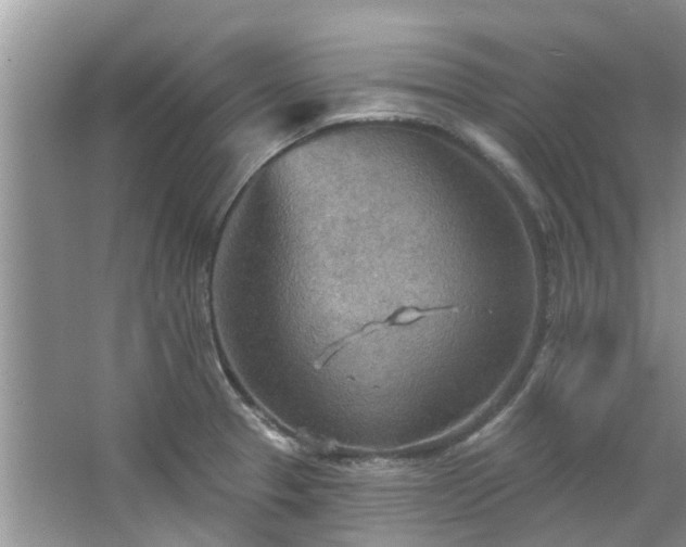 X0000067471329200604101149