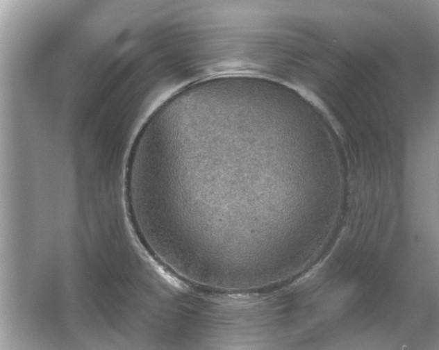 X0000067471333200604101149