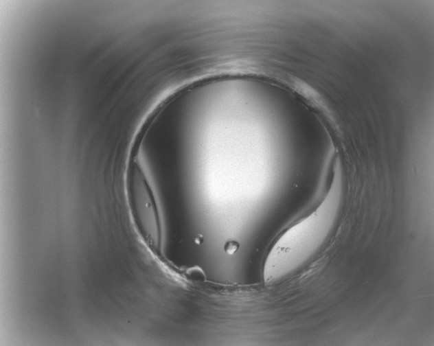 X0000067471334200604101149