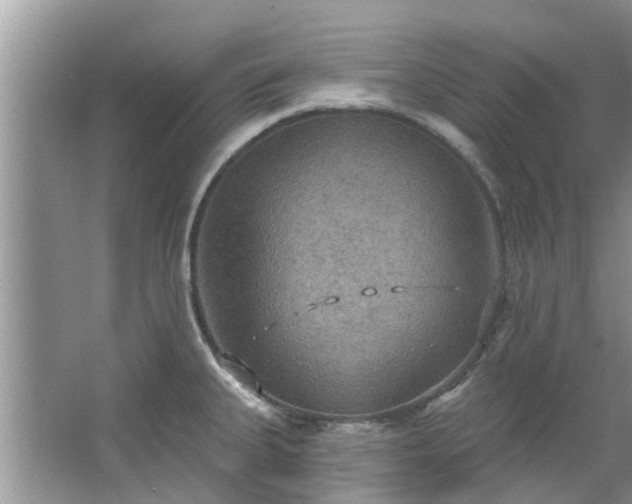 X0000067471335200604101149