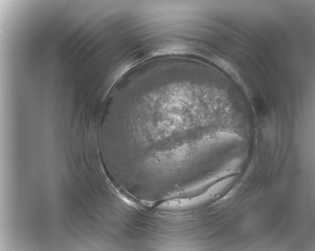 X0000067471337200604101149