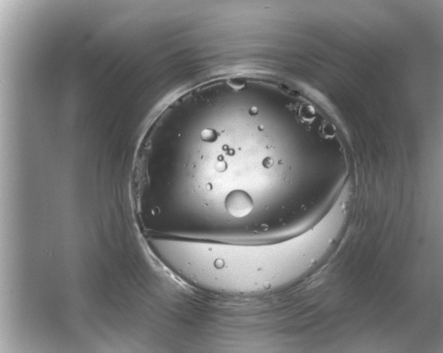 X0000067471338200604101149