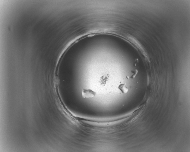 X0000067471340200604101149