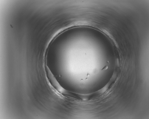 X0000067471342200604101149