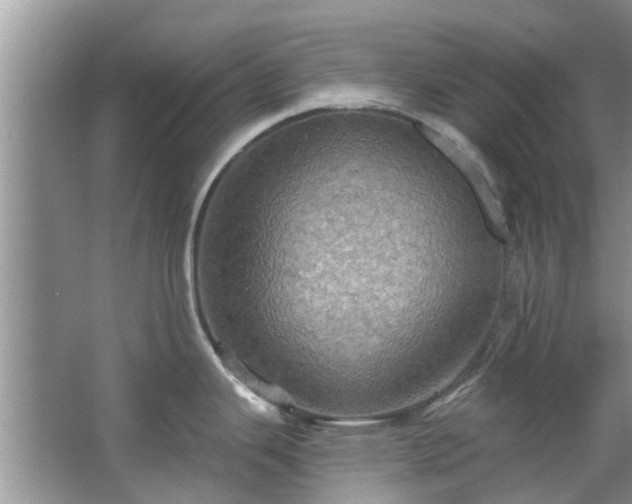 X0000067471343200604101149