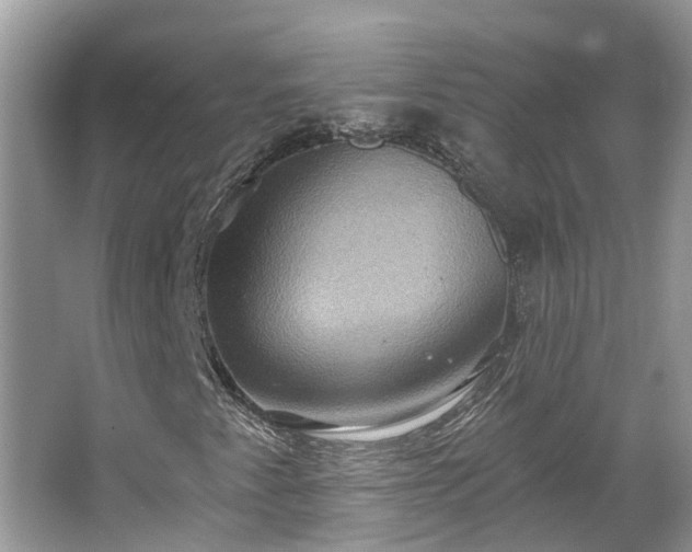 X0000067471345200604101148