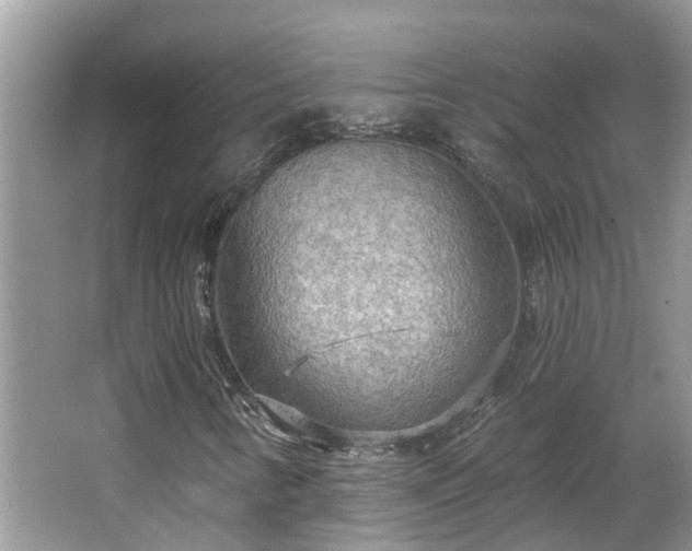 X0000067471346200604101148