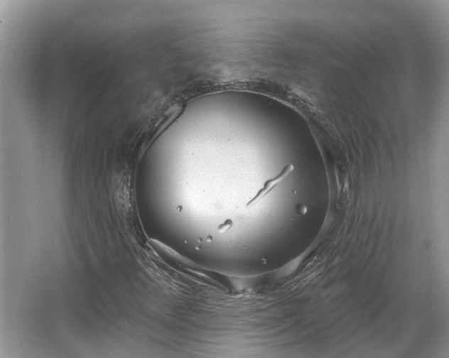 X0000067471348200604101148