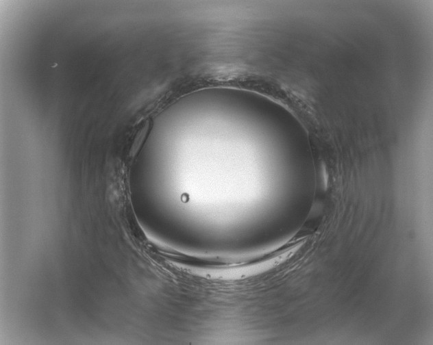 X0000067471349200604101148