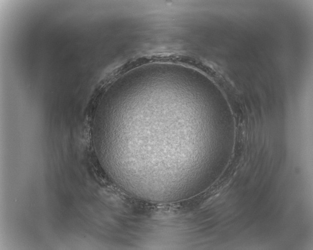 X0000067471350200604101148