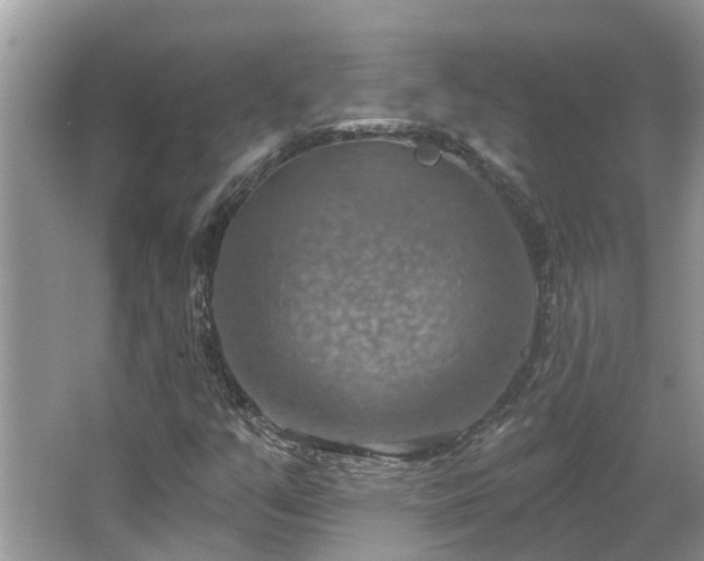 X0000067471351200604101148