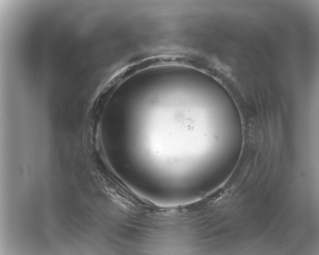 X0000067471352200604101148