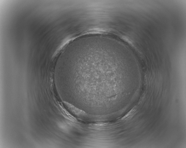 X0000067471355200604101148