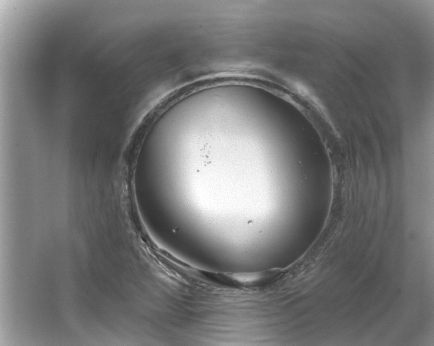 X0000067471360200604101148