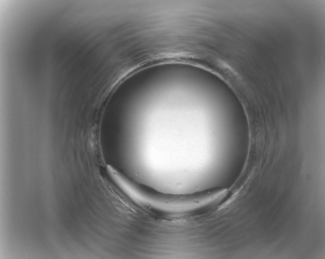 X0000067471361200604101148