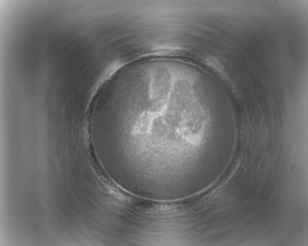 X0000067471362200604101148