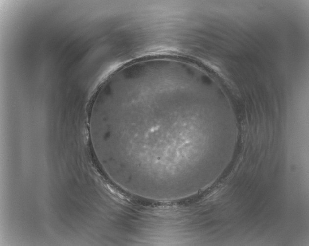 X0000067471363200604101148