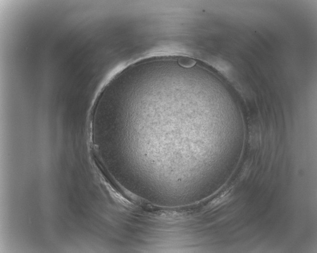 X0000067471366200604101148