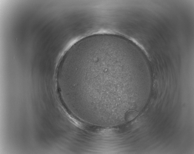 X0000067471367200604101148