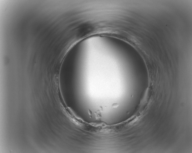 X0000067471369200604101148