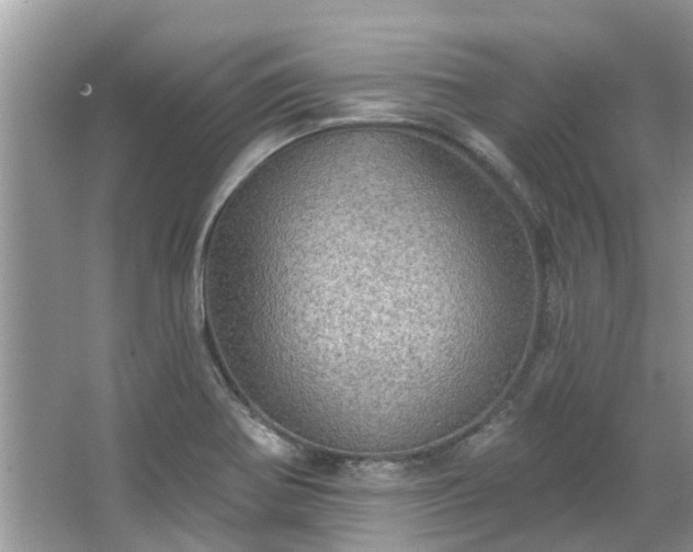 X0000067471370200604101148