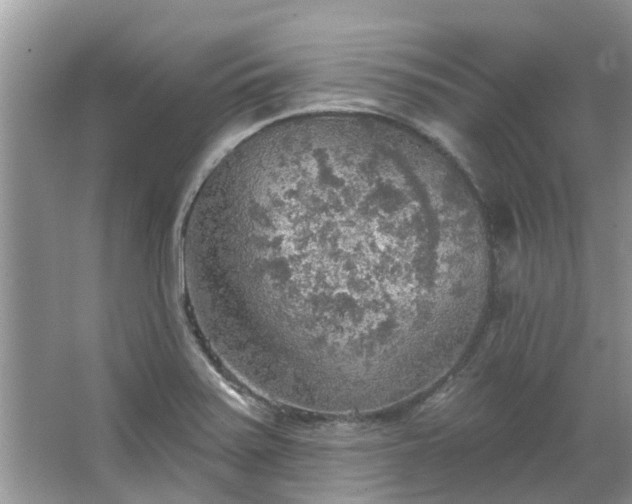 X0000067471371200604101148