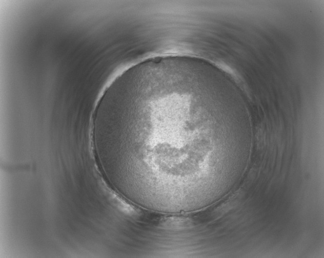 X0000067471374200604101148