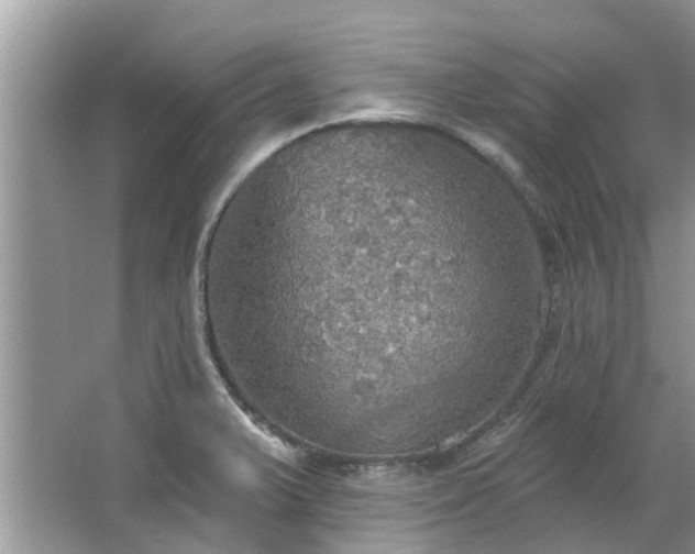 X0000067471375200604101148