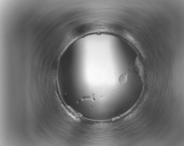 X0000067471377200604101148