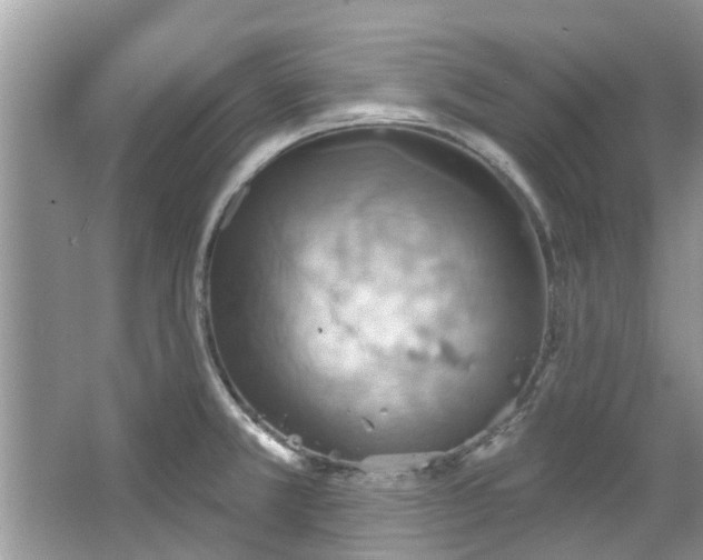 X0000067471381200604101147