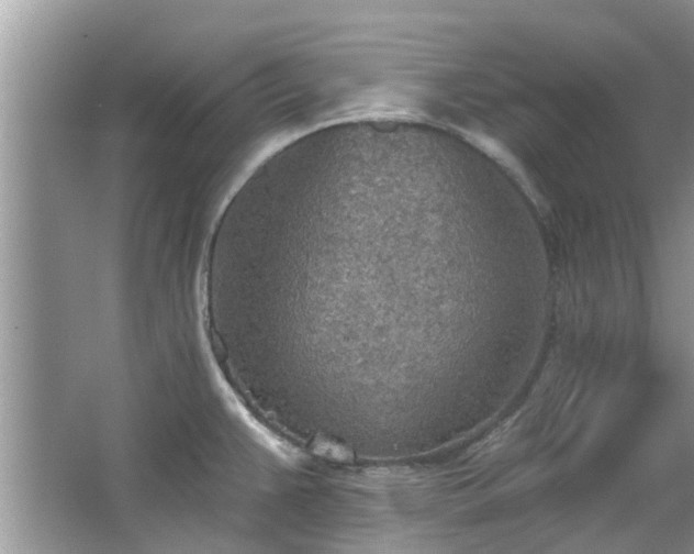 X0000067471383200604101147