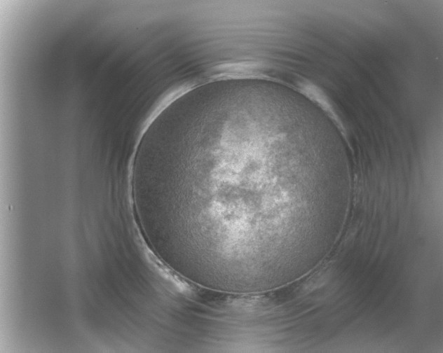 X0000067471386200604101147