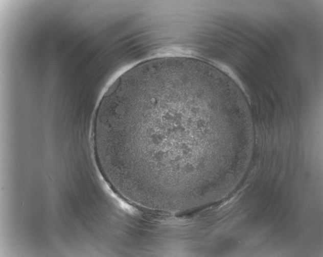 X0000067471387200604101147