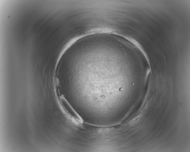 X0000067471389200604101147