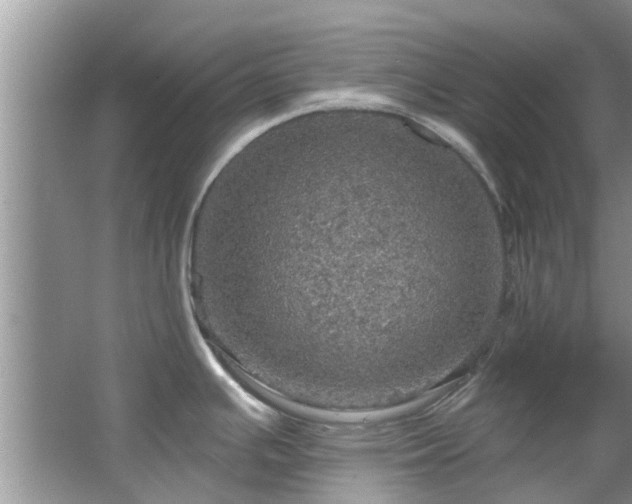 X0000067471391200604101147