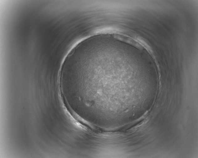 X0000067471392200604101147