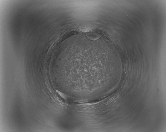 X0000067471393200604101147