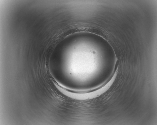 X0000067471394200604101147