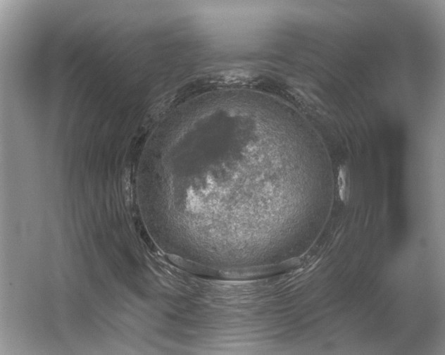 X0000067471395200604101147