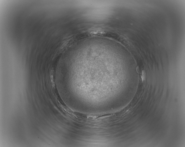 X0000067471396200604101147