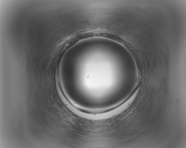 X0000067471398200604101147