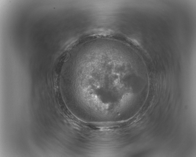 X0000067471399200604101147