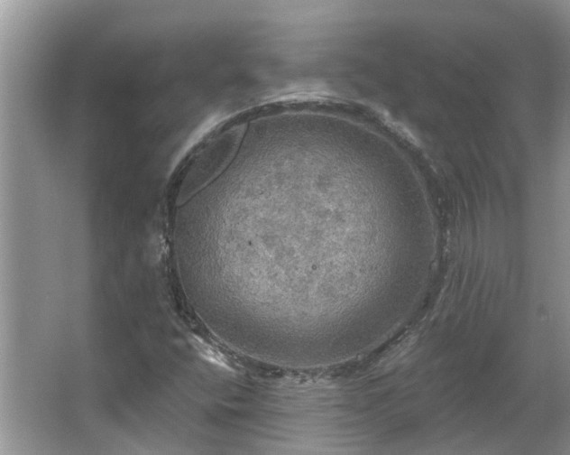 X0000067471400200604101147