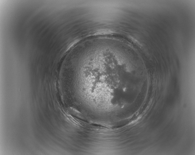 X0000067471401200604101147