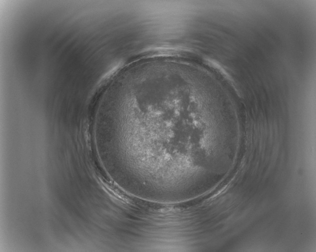 X0000067471403200604101147