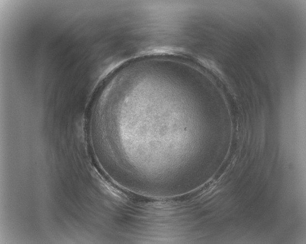 X0000067471404200604101147